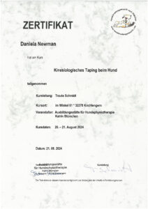 Kinesiologisches Taping