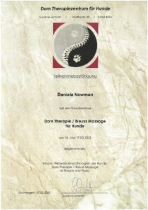 Dorn Therapie